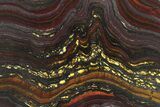 Polished Tiger Iron Stromatolite Slab - Billion Years #317917-1
